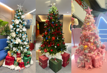 Trang Trí Cây Thông Noel Trang Trí Cây Thông Noel